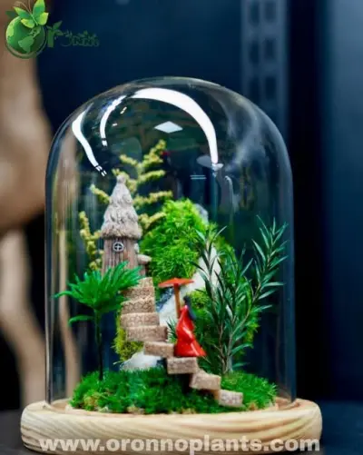 Stairway to Dreams Terrarium - Tarrium for Home & Garden - ৳2,500 in Bangladesh
