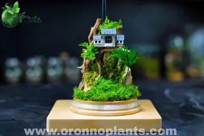 Wuthering Heights Terrarium - Tarrium for Home & Garden - ৳400 in Bangladesh
