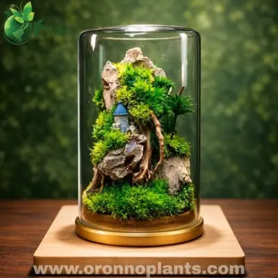 Avalon Terrarium - Tarrium for Home & Garden - ৳4,000 in Bangladesh