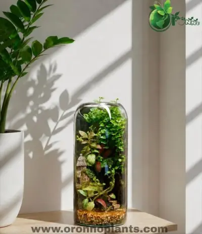 Woodland Reverie Terrarium - Tarrium for Home & Garden - ৳9,000 in Bangladesh