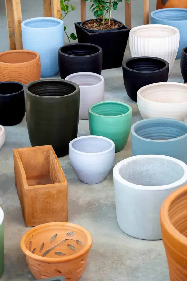 Ceramic vs Plastic vs Terracotta Pots: Which is Right for You?