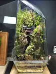 House by the Falls Terrarium - Tarrium for Home & Garden - Oronno Plants Bangladesh - gallery view 1