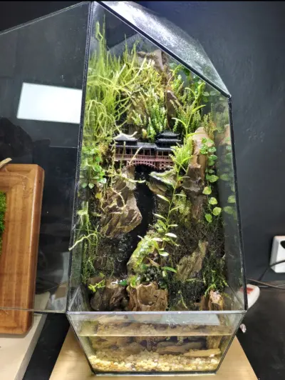 House by the Falls Terrarium - Tarrium for Home & Garden - ৳18,500 in Bangladesh