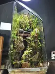 House by the Falls Terrarium - Tarrium for Home & Garden - Oronno Plants Bangladesh - gallery view 2