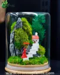 Rainy Homecoming Terrarium - Tarrium for Home & Garden - Oronno Plants Bangladesh - gallery view 1