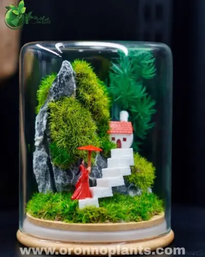 Rainy Homecoming Terrarium - Tarrium for Home & Garden - ৳2,500 in Bangladesh