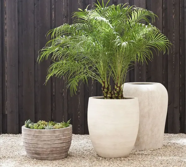 How to Choose the Best Plant Pot Material in Bangladesh