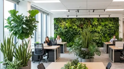 Best Office Plants for Productivity